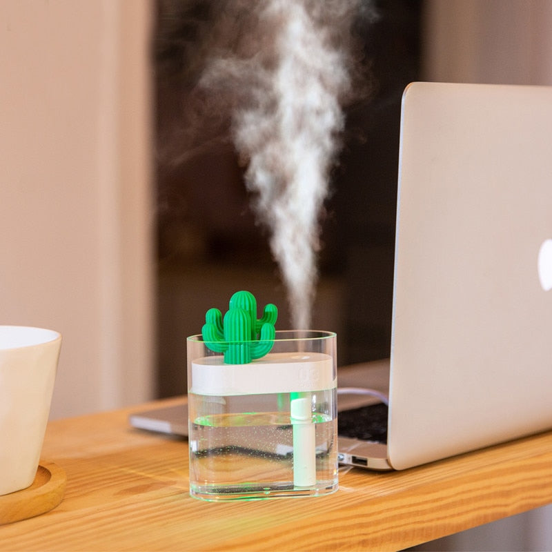 USB Ultrasonic Air Humidifier/ Essential Oil Diffuser